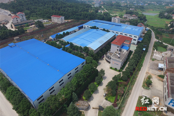 瑞奇电器旗舰店直播,瑞奇电器品牌管理