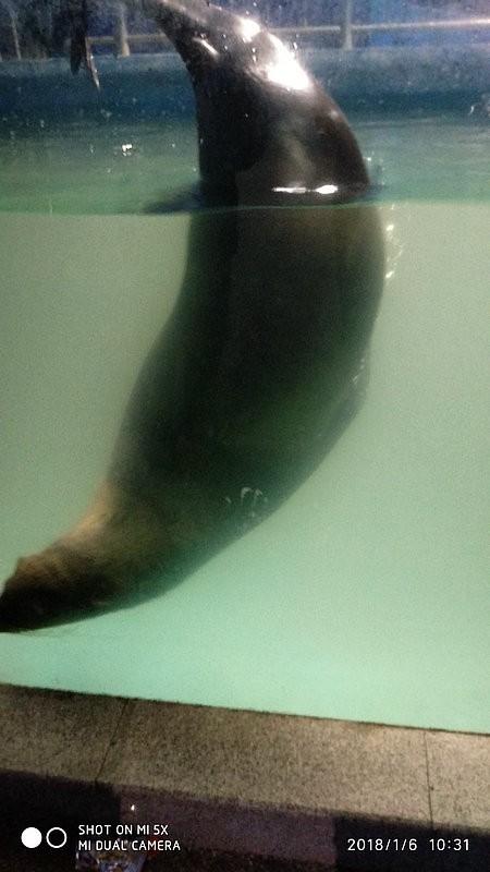 自驾游环游中国路线安徽出发,开封至安徽黄山自驾游攻略