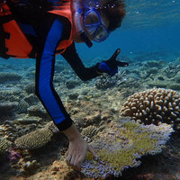 马尔代夫神仙珊瑚岛攻略,马尔代夫神仙珊瑚岛视频