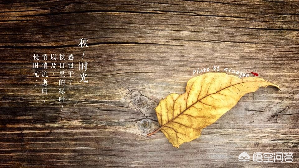 如何制作竖版照片,竖版照片文字排版