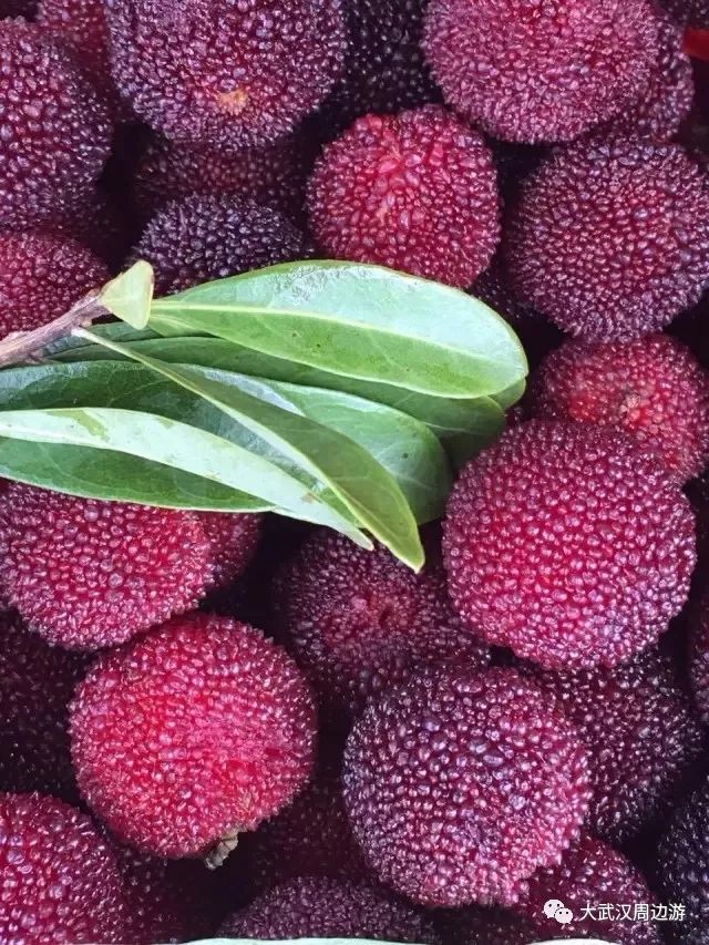 恩施免费景点2024,2018恩施