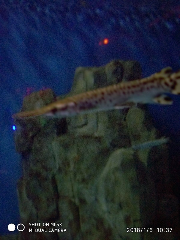 自驾游环游中国路线安徽出发,开封至安徽黄山自驾游攻略