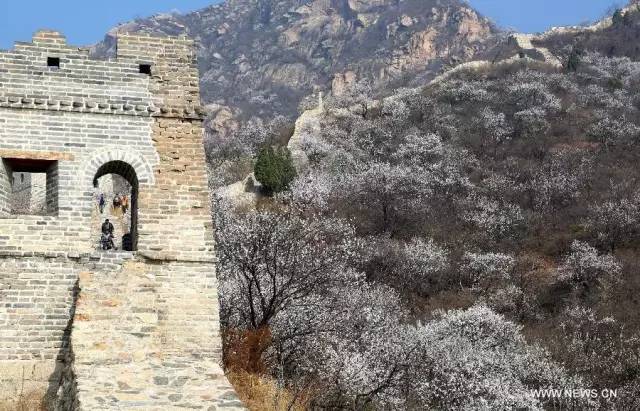 一家四口亲子游酒店推荐儿童房,京郊游景区住宿推荐最新