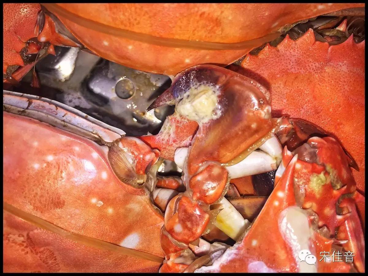 北戴河的风景很美,北戴河最美的地方