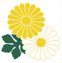 记忆里的那些花儿｜石榴花开，生如夏花之绚烂