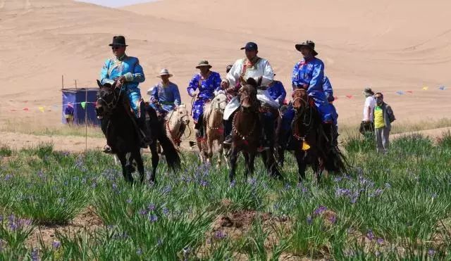 阿拉善今年活动,阿拉善户外活动