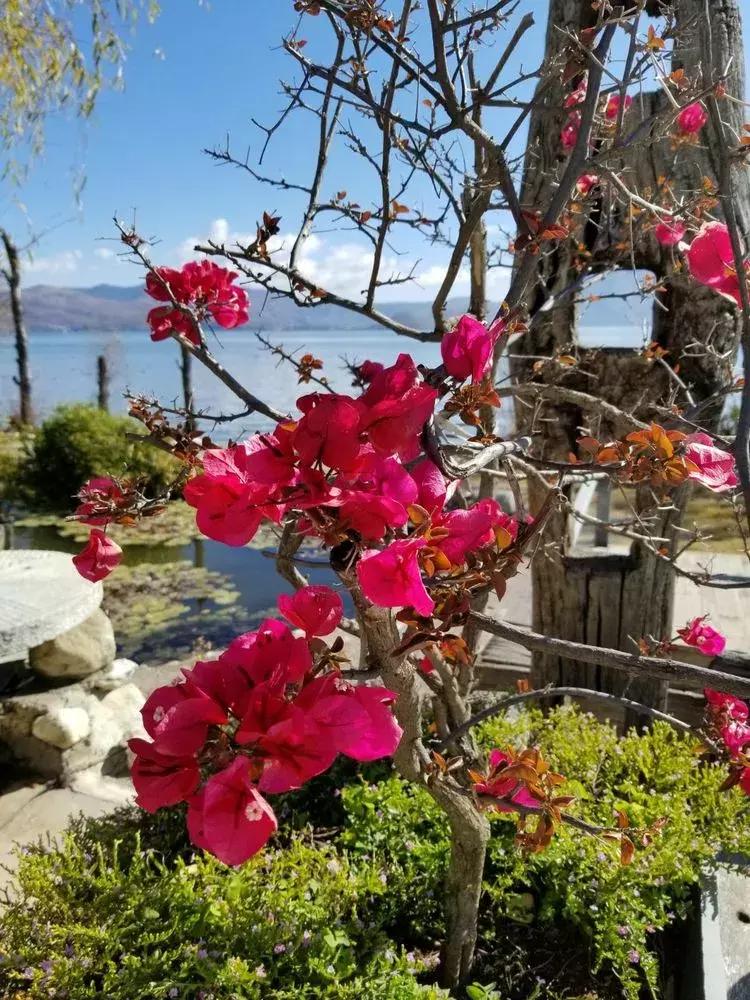 与大理古城最后一晚的邂逅,与大理的第五次相遇