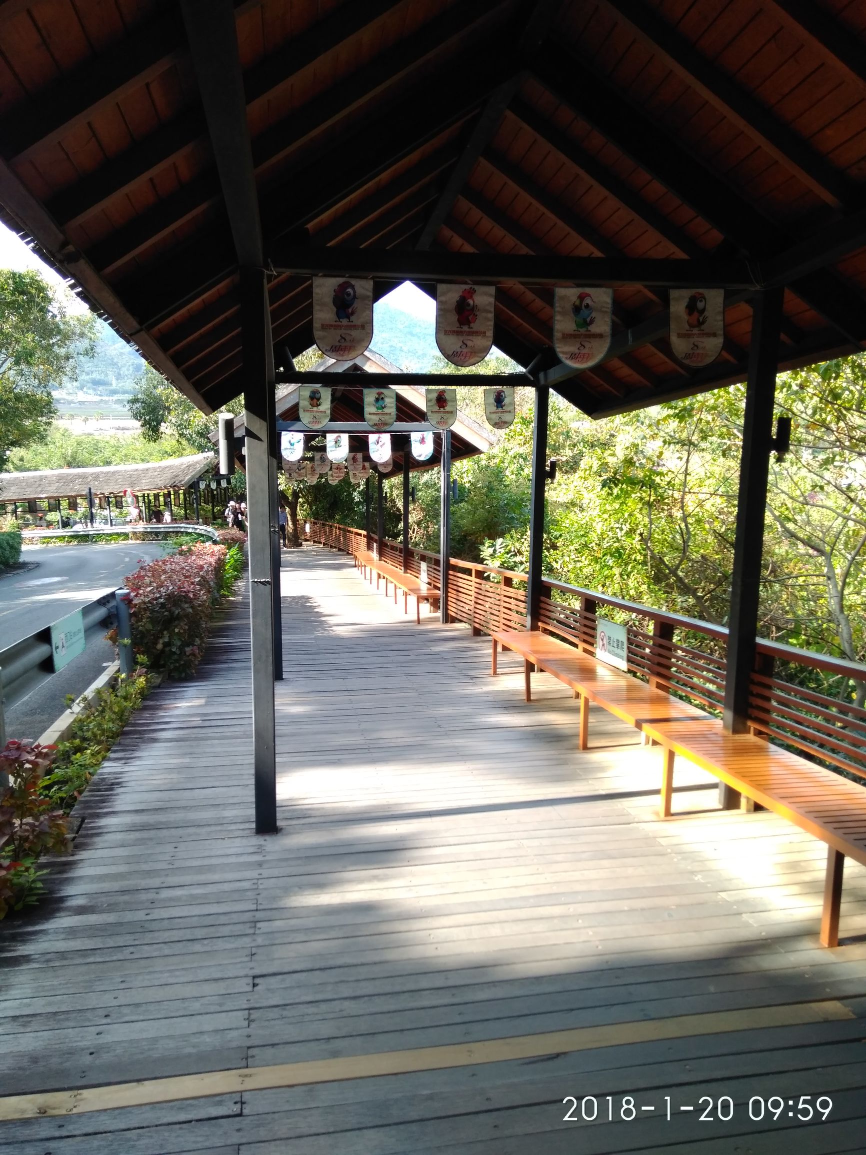 三亚亚龙湾热带天堂森林公园,三亚游玩攻略亚龙湾森林天堂