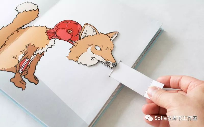 大开眼界提高认知的书籍,立体书购买推荐