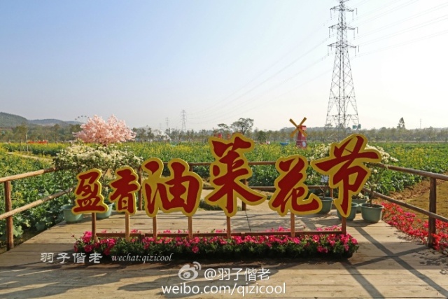 不再关心不再过问,不再过问身后事