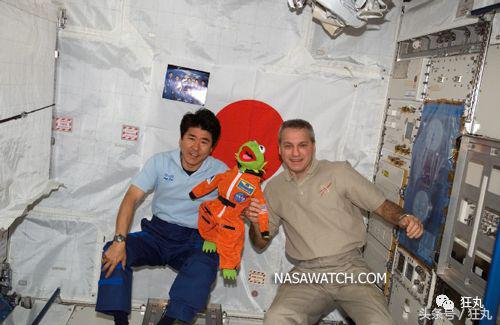 你知道青蛙旅行好玩，但不一定知道真正的青蛙早就玩过太空7日游