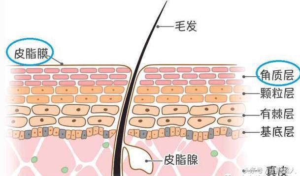 网红垃圾产品推荐,泰国好用的护肤品测评推荐