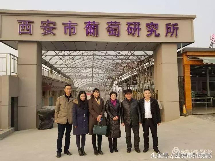 鄠邑区长裴靖瑜,2020鄠邑区裴靖瑜