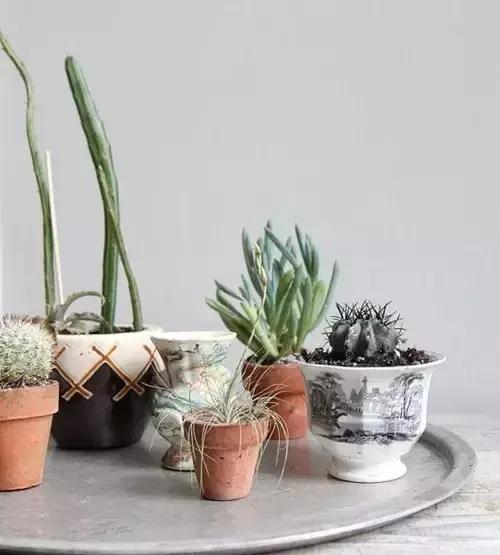 租房10平方米简单装修,租房怎么装饰温馨便宜图片