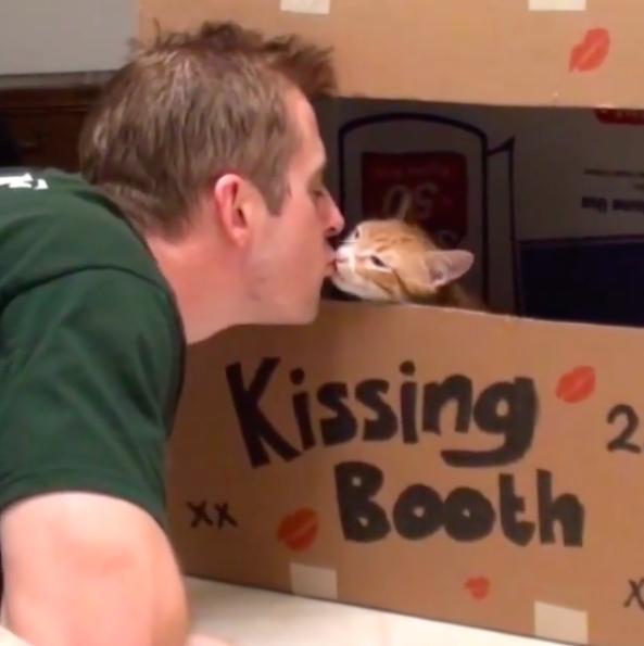 萌橘猫,萌橘猫老板