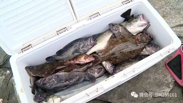 高手在民间三秒速记1000字,高手在民间三秒记一千字