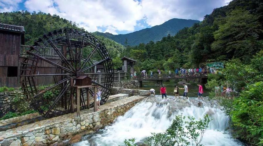 贺州特色农业产业是什么,贺州市村级经济产业示范园