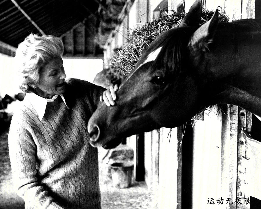 马中吕布马中赤兔,马中赤兔