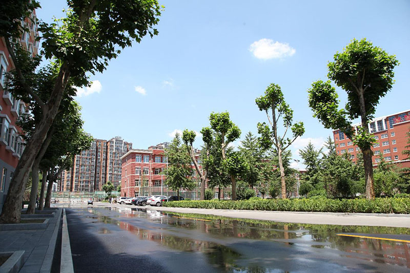 北大青鸟怎么样修改中文地址,北大青鸟怎么样是正规学校吗