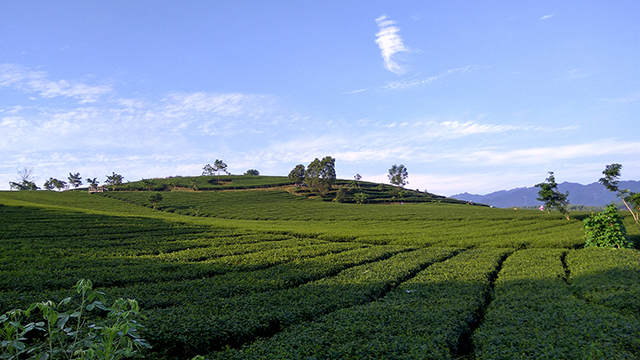 骞胯タ涓婃灄缇庢櫙,涓婃灄鐨勭編绉掓潃鍏ㄥ箍瑗挎墍鏈夌殑缇庢櫙