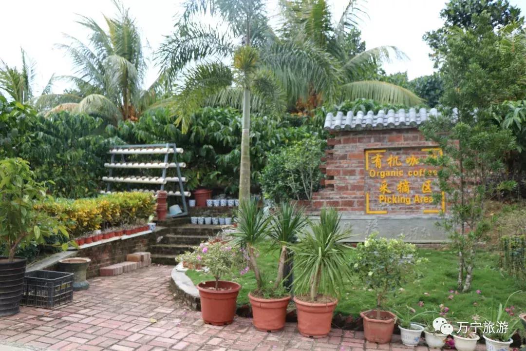 购物清单春节,春节购物清单竖版