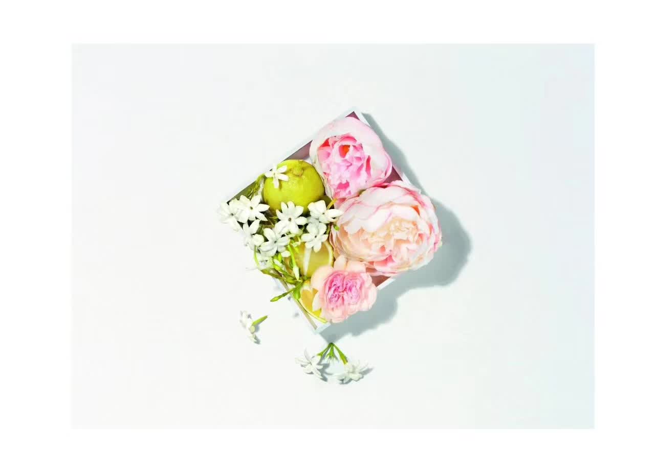 狗年限量单品有哪些 (本命年必选时尚单品)