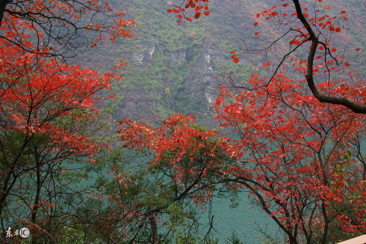 巫山一段云诗句,巫山一段云五首