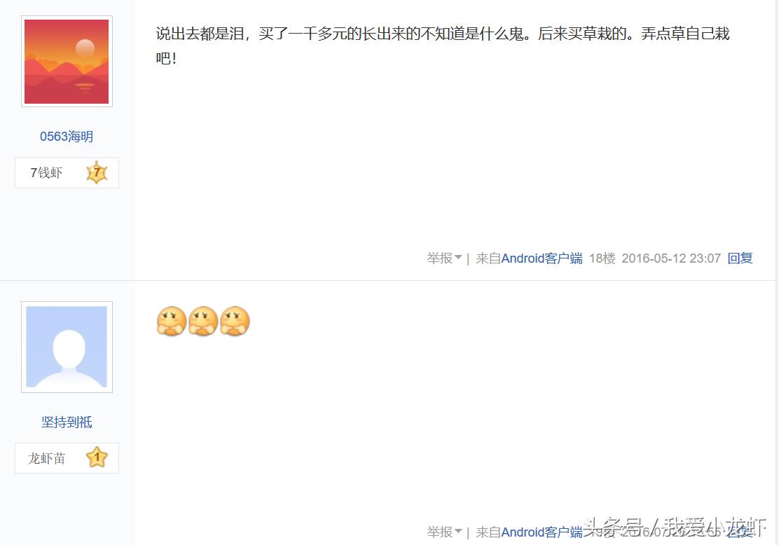 伊乐藻种子哪里买,伊乐藻种子是假的不发芽