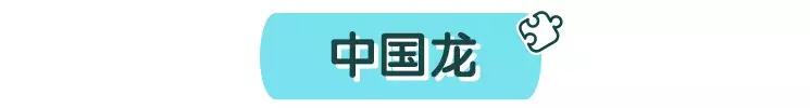 纸灯笼安装龙,纸筒鞭炮灯笼怎么折