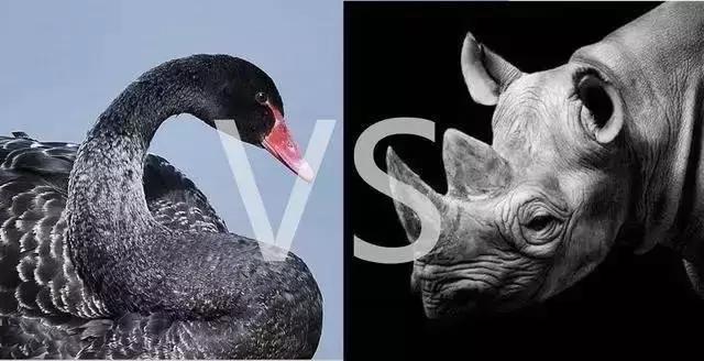 黑天鹅事件由来,黑天鹅事件详细介绍