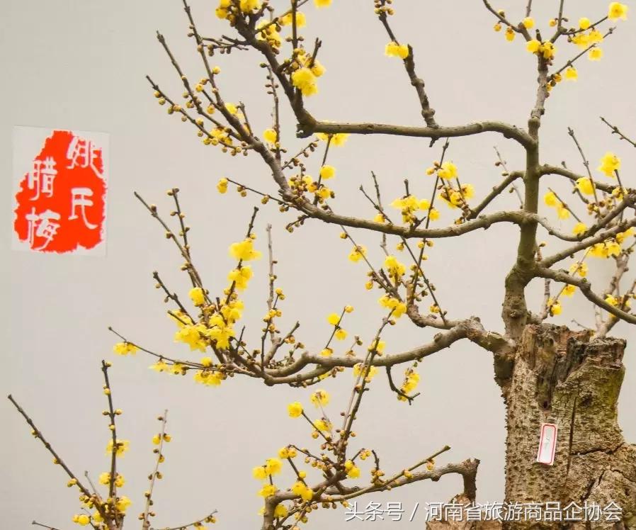 玩转河南冬天,玩转河南许昌