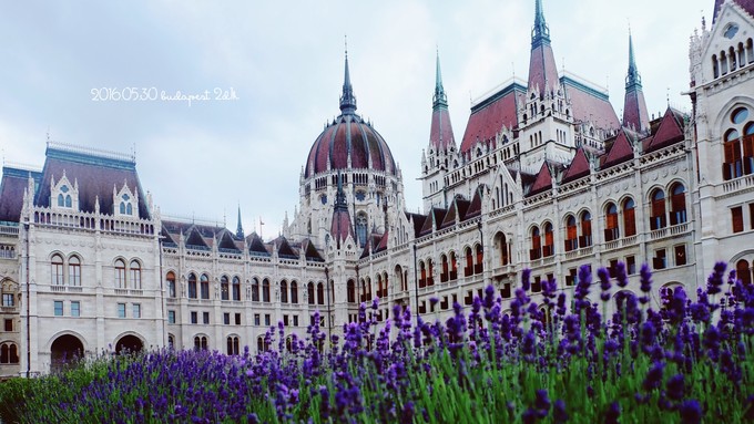 一人食美食旅行,10人游布达佩斯游记