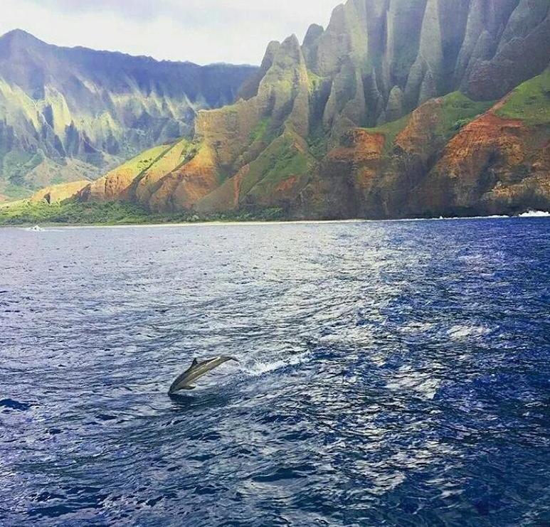 侏罗纪公园取景地有哪些,侏罗纪公园拍摄地