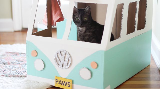 自制手工迷你小宠物小猫,如何用纸板制作神奇的猫咪宠物屋