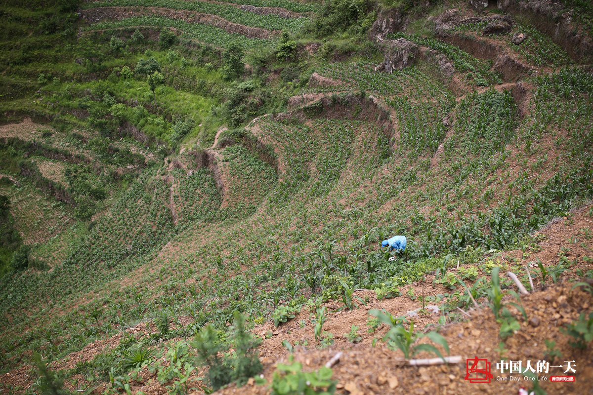 阿都乡大事件,1960年阿都乡事件详情