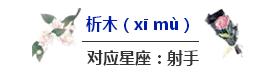 你知道中国十二绝色有多美吗,十二星座长什么样