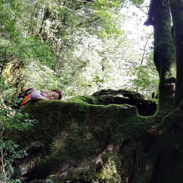 “女朋友和她的青蛙儿子跑了”去这些地方找和青蛙跑了的女朋友