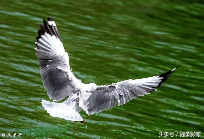 摄影爱好者必读摄影100个技巧,对摄影的好奇心和热爱还在吗