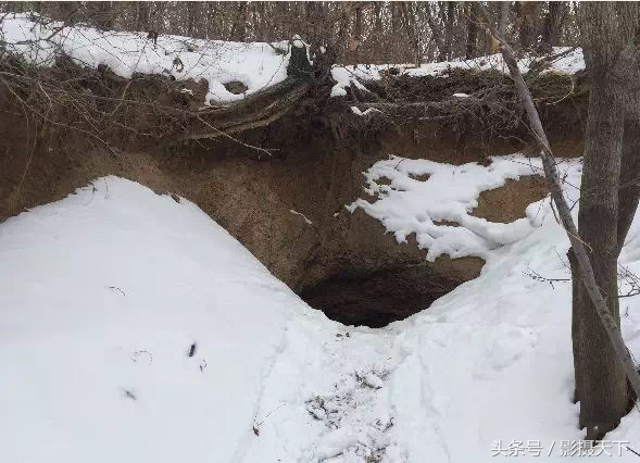 113岁老人隐居深山60年纪录,七旬老人隐居山林与世隔绝25年
