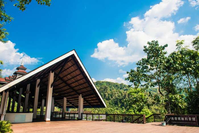 西双版纳最美公园是哪一个,西双版纳最主要景区有哪些