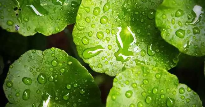 好用又便宜的老牌国货推荐,国货品牌超级好用