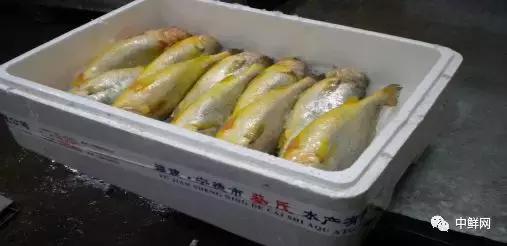 水产养殖技术干货,带鲜味的动物食材