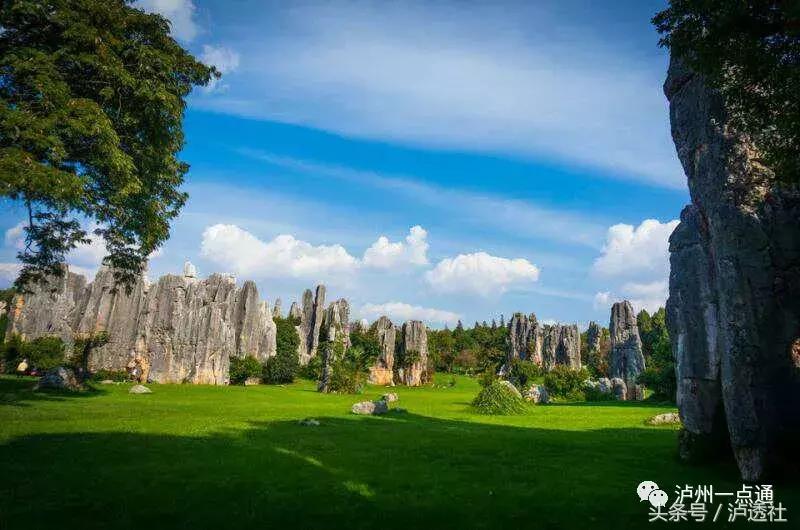 泸州看石林的地方,去石林游玩感言