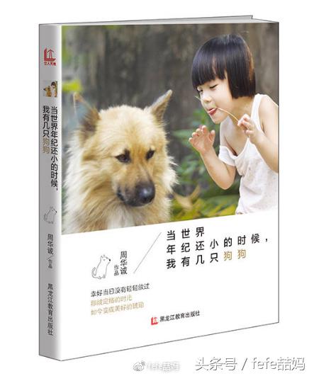 狗年狗狗书籍,狗年旺旺的书籍