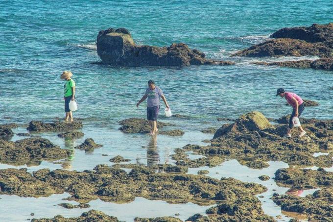 三亚旅游攻略纪念品,自驾游海南三亚必备物品清单