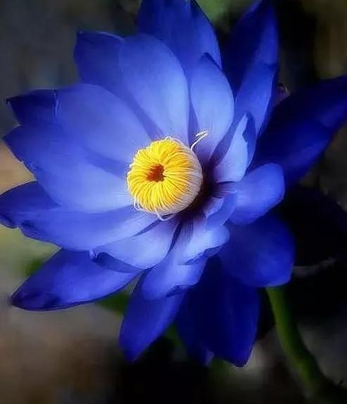 国货好物推荐性价比,国货超好用便宜