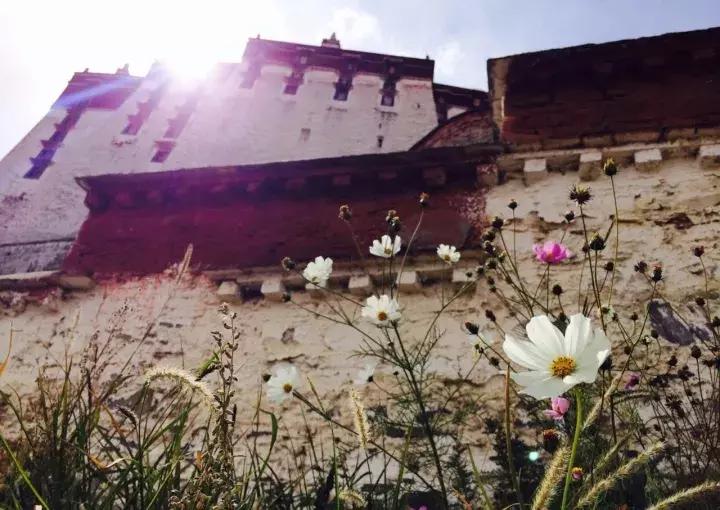 拉林高速最美段,公路的颜值