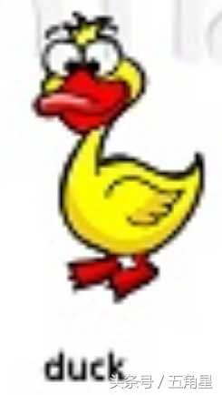 动物的英文单词都有哪些,动物英语单词13个