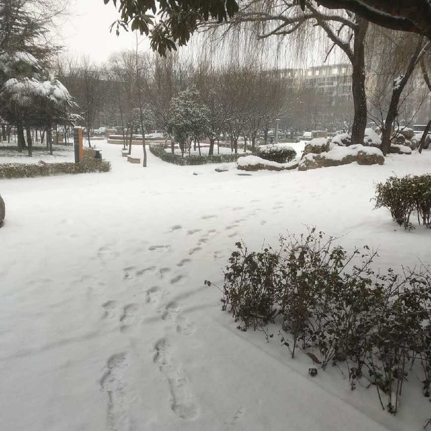 下雪天跑步和正常跑步差多少,在下雪天跑步要注意什么