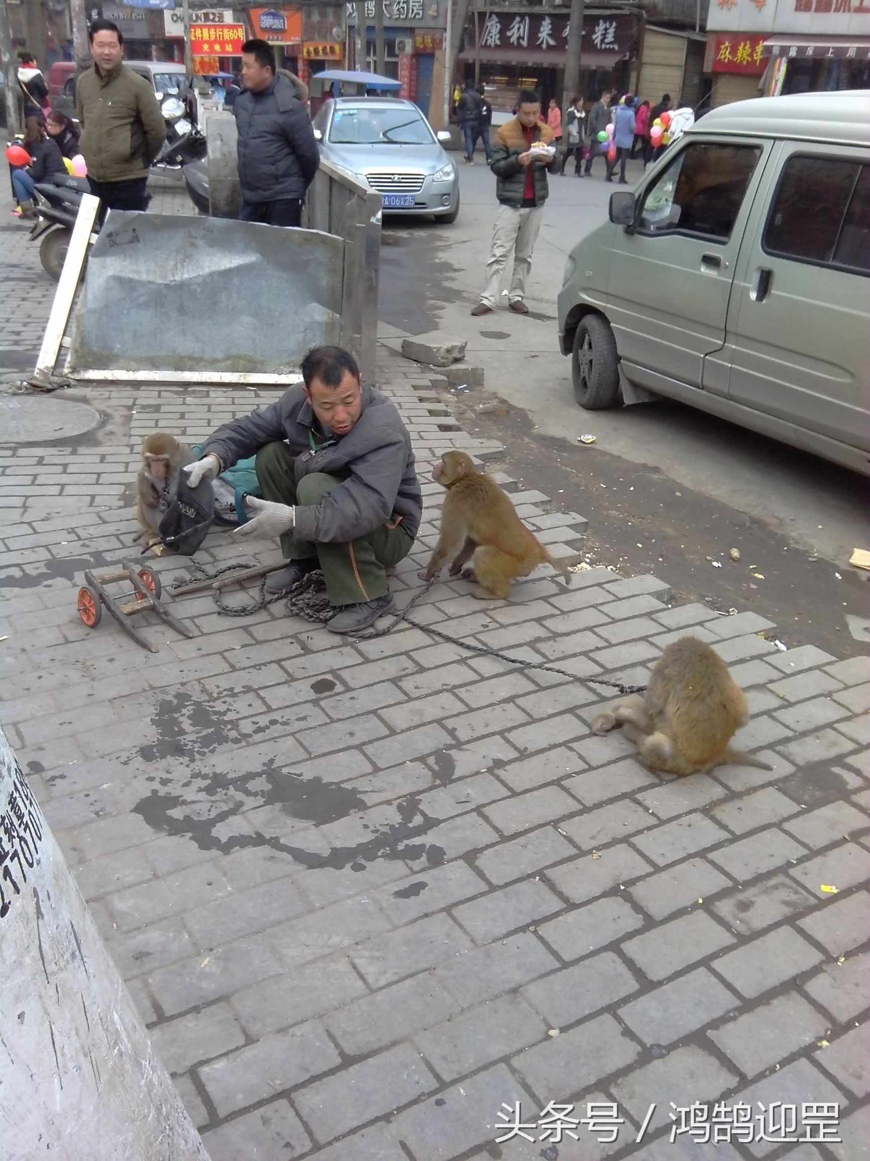 陕西西安鱼化寨,西安鱼化寨耍猴